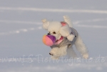 03 Prinzessin Lillifee